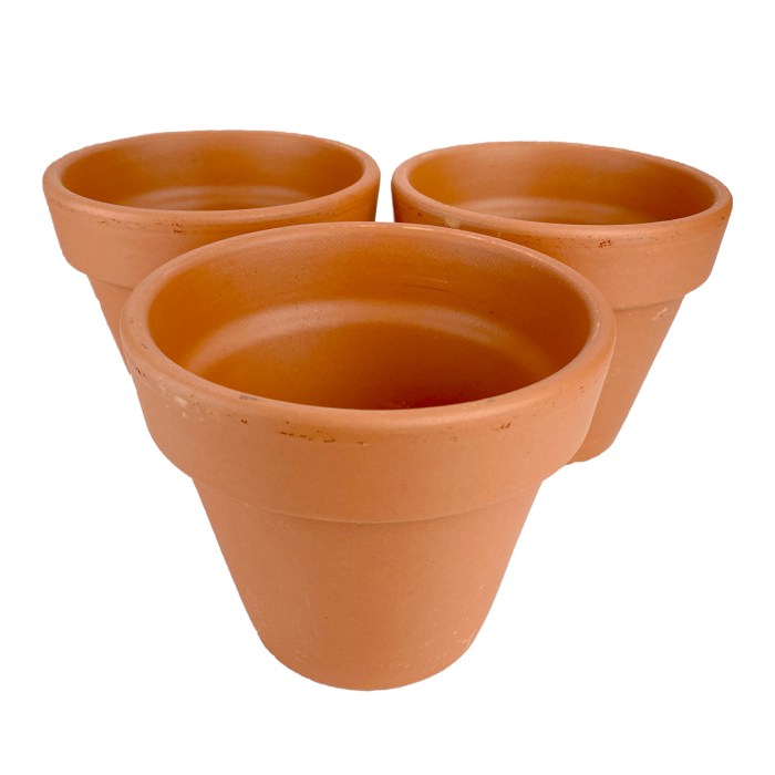 4 inch terracotta plant pots