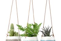 Planters wall indoor planter plants mounted plant faq where shop do decor marthastewart article