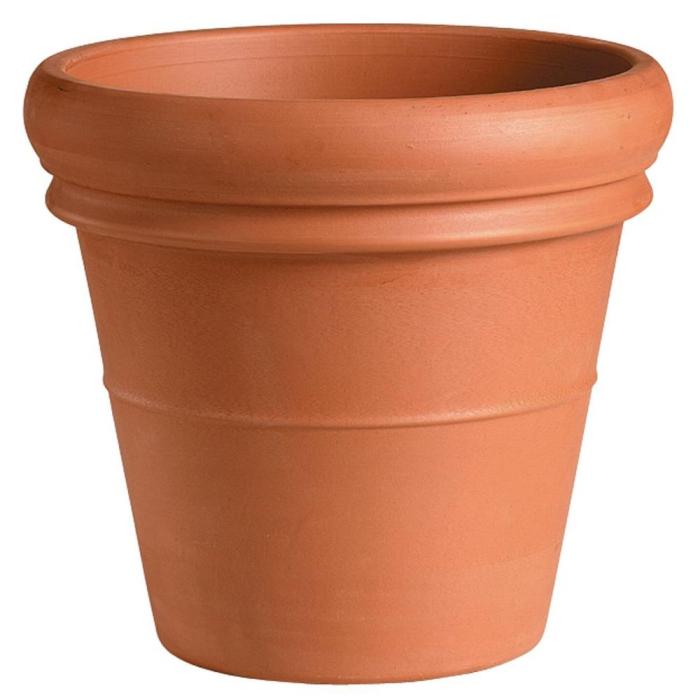 4 inch terracotta plant pots