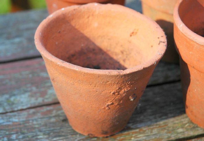 Terracotta